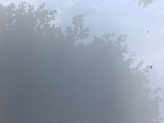 轮椅视角下的自然奇观：发现山林间独特的生态与地理奥秘