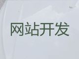 东阳市开源网站开发#短视频运营推广，企业解决方案