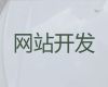 东阳市开源网站开发#短视频运营推广，企业解决方案