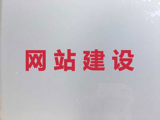 昭通市网站建设服务公司#短视频营销推广，一站式建站服务
