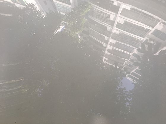 植绒补丁术：摇粒绒抓痕修复的静电植绒法