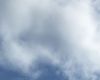 北极熊潜水闭气的生物力学模型：从自然屏息到深潜器供氧系统的参数设计