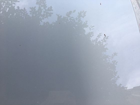 血型匹配度影响婚姻幸福？揭秘夫妻血型组合的奇妙规律