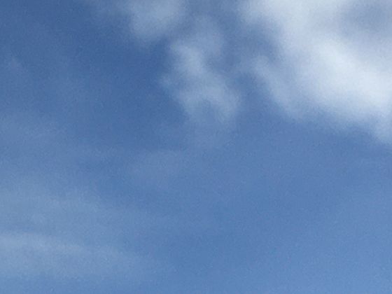 夏季过敏人群注意：花粉、尘螨高发季的防护策略