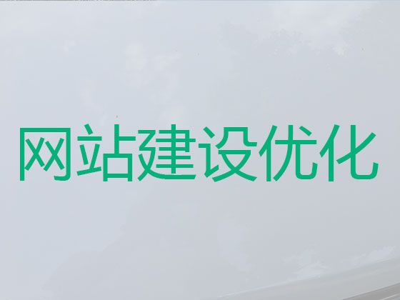 南充市网站优化推广服务#AI数字人视频制作，服务可靠