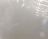 植物界的伪装大师：南瓜独特的果实形态如何适应自然生存法则