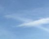苹果与其他蔷薇科果树的形态鉴别：海棠、梨等区分要点详解