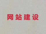 山南市网站建设本地公司@AI数字人视频制作，专业建站公司