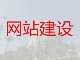 南京市专业网站设计制作#短视频推广，专业建站