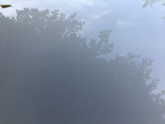 贴布绣针法封神！布料拼贴直接玩出潮牌感